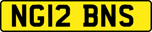 NG12BNS