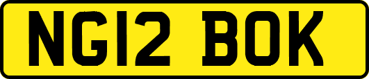NG12BOK