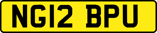 NG12BPU