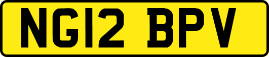 NG12BPV