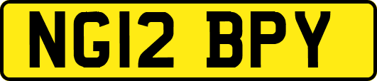 NG12BPY