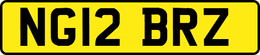 NG12BRZ