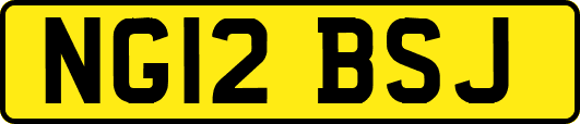 NG12BSJ