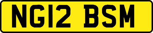 NG12BSM