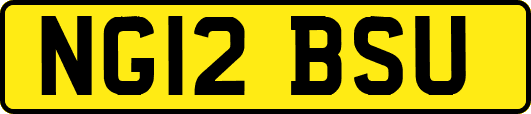 NG12BSU