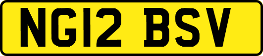 NG12BSV
