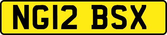NG12BSX