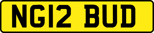 NG12BUD