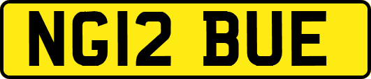 NG12BUE