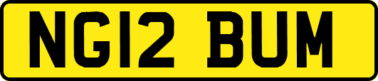 NG12BUM