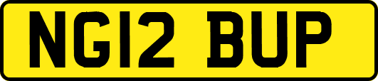 NG12BUP