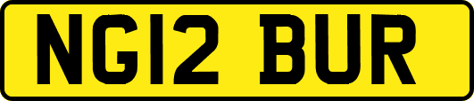 NG12BUR