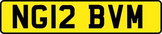 NG12BVM