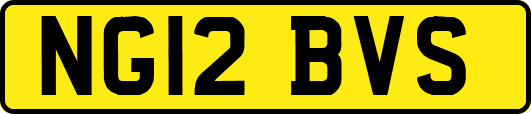 NG12BVS