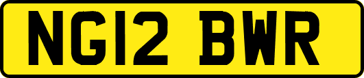 NG12BWR