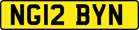 NG12BYN