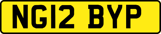 NG12BYP