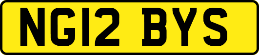 NG12BYS