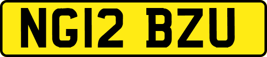 NG12BZU
