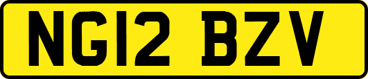 NG12BZV