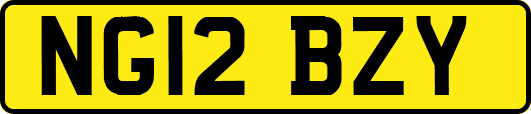 NG12BZY