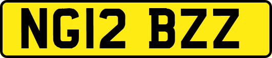NG12BZZ