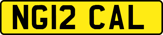 NG12CAL
