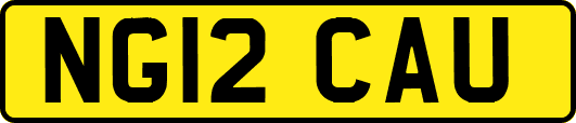 NG12CAU