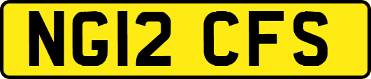 NG12CFS