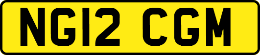 NG12CGM