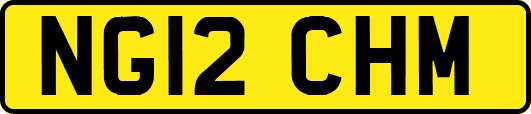 NG12CHM