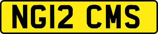 NG12CMS