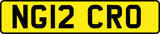 NG12CRO