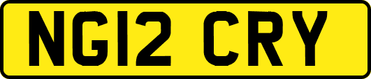 NG12CRY