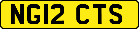 NG12CTS