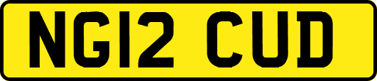 NG12CUD