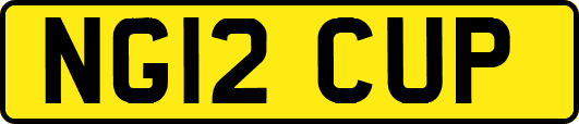 NG12CUP