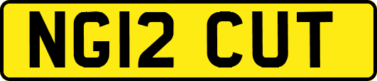 NG12CUT