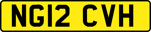 NG12CVH