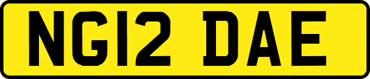 NG12DAE