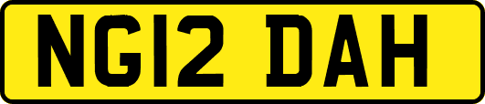 NG12DAH