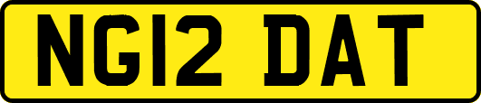 NG12DAT