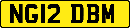NG12DBM