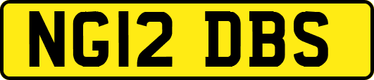 NG12DBS