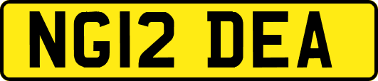 NG12DEA