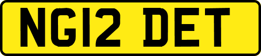 NG12DET