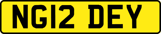 NG12DEY