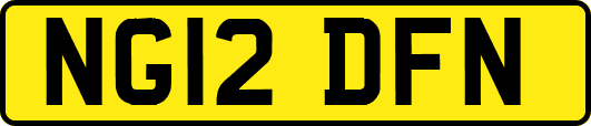 NG12DFN
