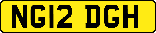 NG12DGH