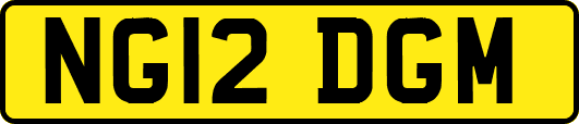 NG12DGM